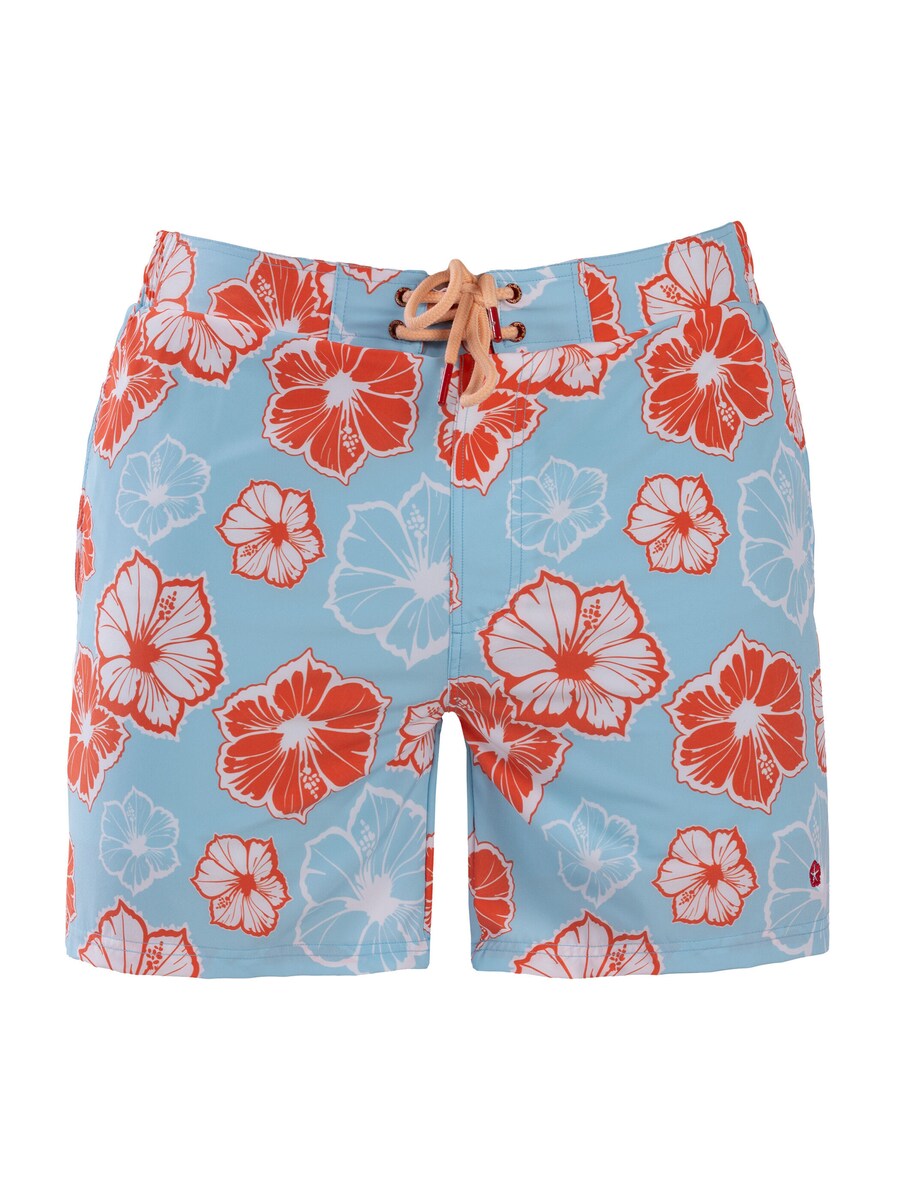 Спортивные плавки Frozen Cape, светло-голубой
Спортивные плавки Frozen Cape, светло-голубой