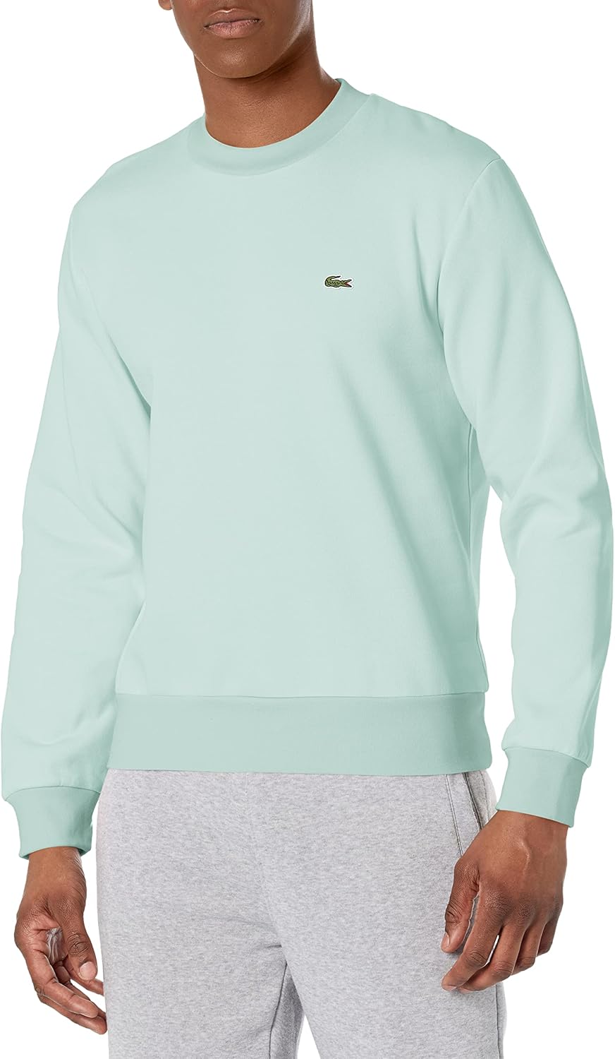 Lacoste мужская толстовка из органического хлопка, Pastille Mint
Lacoste мужская толстовка из органического хлопка, Pastille Mint
