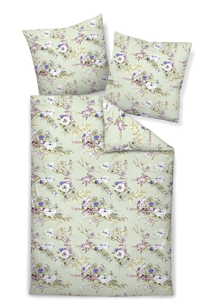 Сатиновый комплект постельного белья Janine Design Mako MILANO 45044 цвет шалфей-06 размер 155Х220+80х80см Original Janine
Сатиновый комплект постельного белья Janine Design Mako MILANO 45044 цвет шалфей-06 размер 155Х220+80х80см Original Janine