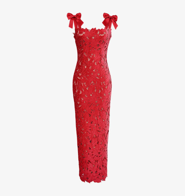 Длинное платье из бархатного кружева Tiff House Of Cb, красный
Длинное платье из бархатного кружева Tiff House Of Cb, красный