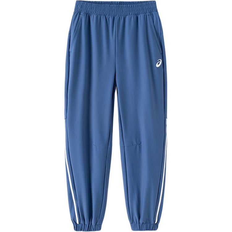 Подростковые вязаные спортивные штаны ASICS, серо-голубой
Подростковые вязаные спортивные штаны ASICS, серо-голубой