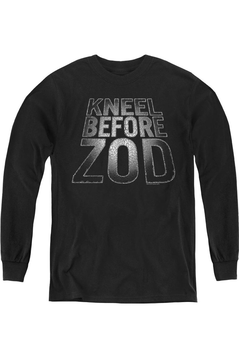 Футболка с длинным рукавом "Супермен до Зода" для молодежи Gildan, черный
Футболка с длинным рукавом "Супермен до Зода" для молодежи Gildan, черный