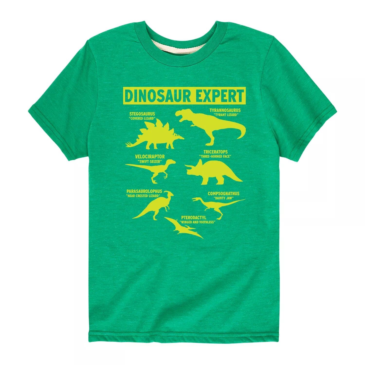 Футболка с рисунком «Эксперт по динозаврам» для мальчика 8–20 лет Licensed Character, зеленый
Футболка с рисунком «Эксперт по динозаврам» для мальчика 8–20 лет Licensed Character, зеленый