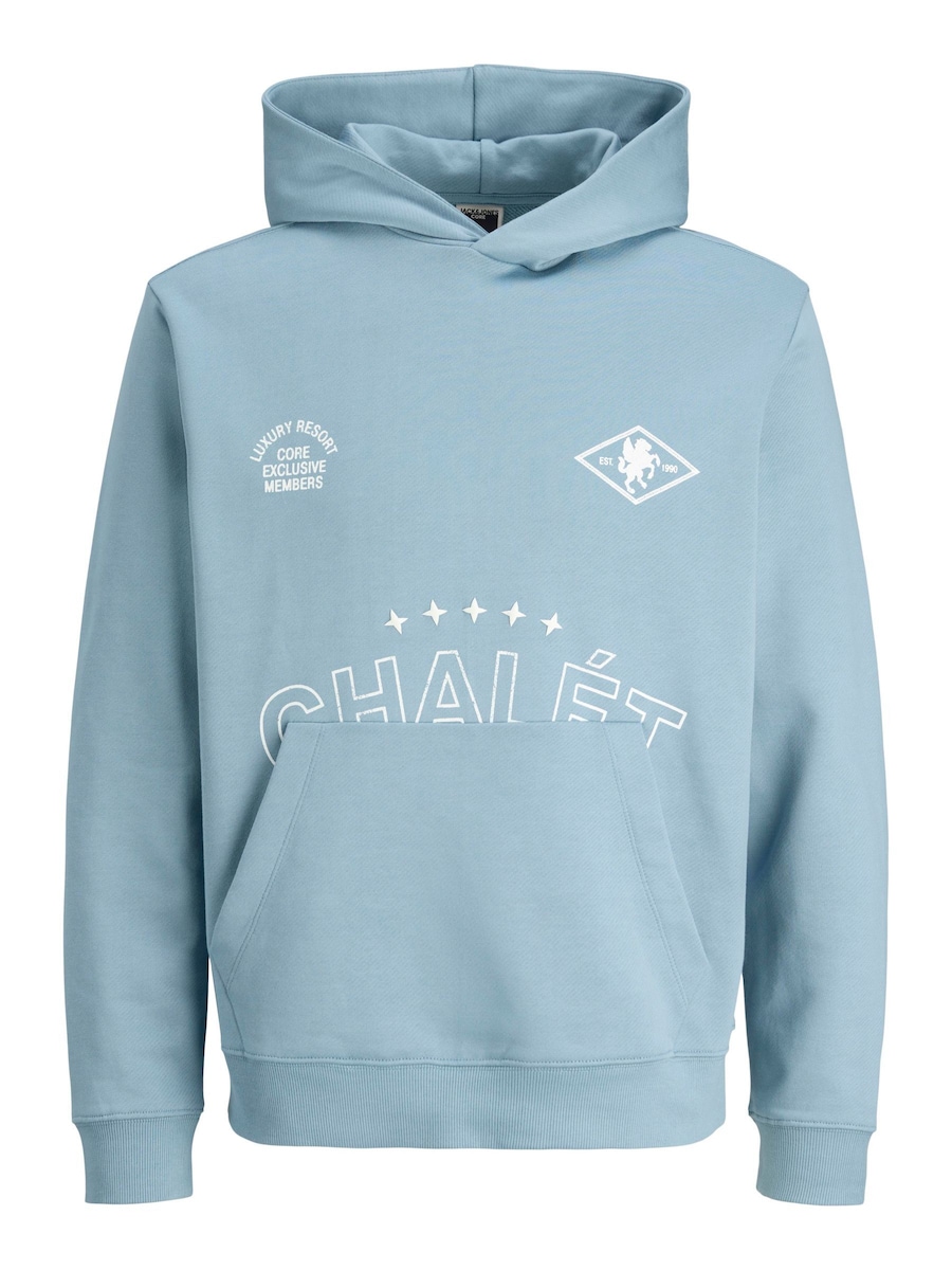 Толстовка JACK & JONES, синий
Толстовка JACK & JONES, синий