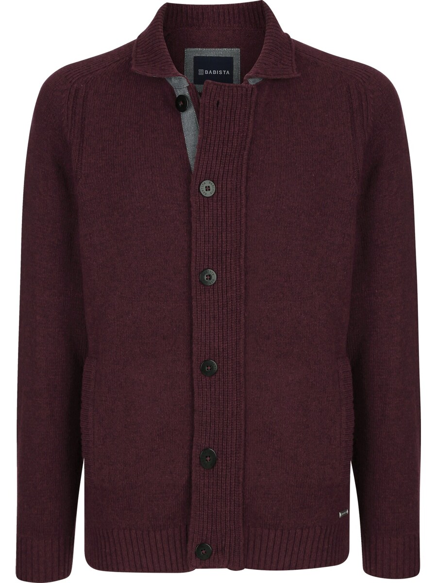 Вязаный кардиган BABISTA Roblote, фиолетовый
Вязаный кардиган BABISTA Roblote, фиолетовый