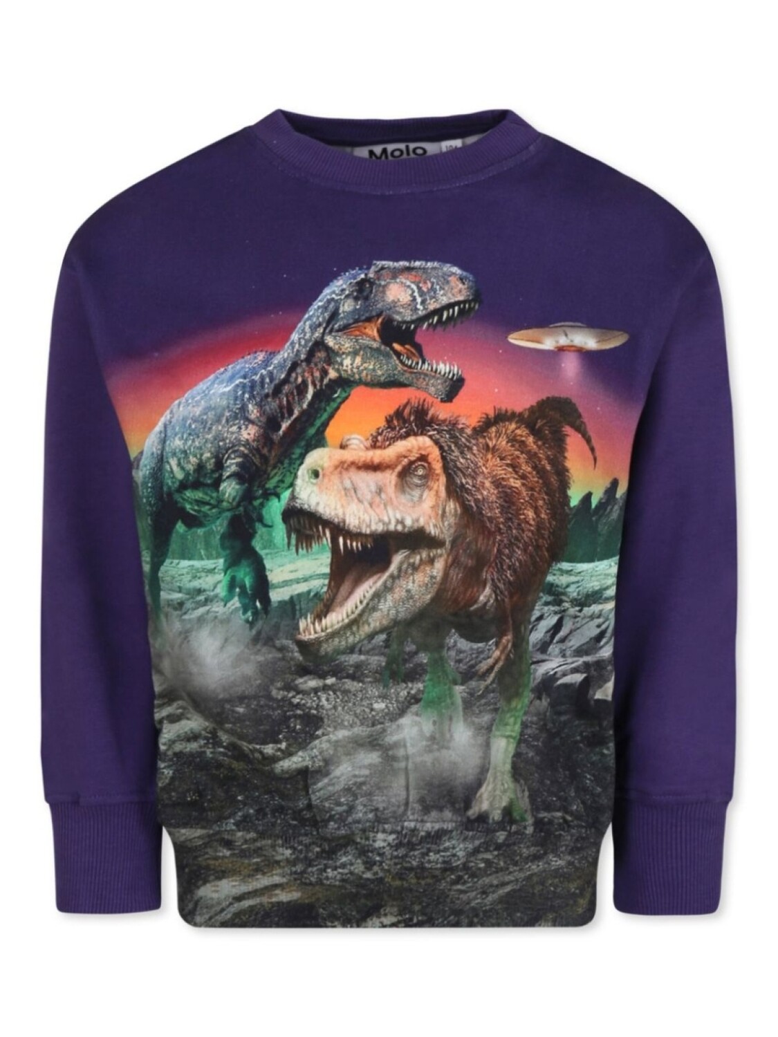 Толстовка из органического хлопка с графическим принтом Molo, фиолетовый