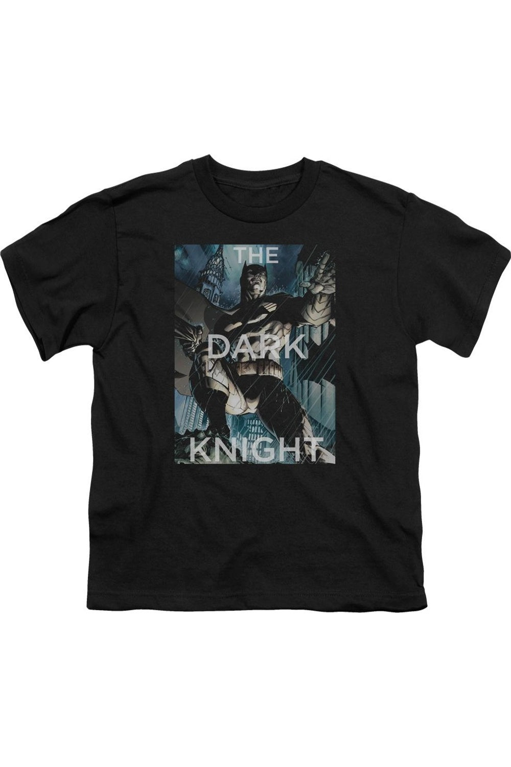 Футболка с коротким рукавом для детей "Бэтмен против бури" Gildan, черный
Футболка с коротким рукавом для детей "Бэтмен против бури" Gildan, черный