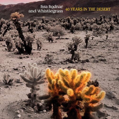 CD диск Bodnar, Lisa & Whistlegrass: 40 Years In The Desert
CD диск Bodnar, Lisa & Whistlegrass: 40 Years In The Desert