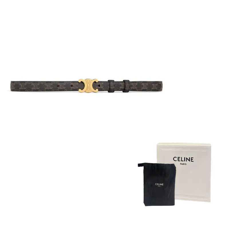CELINE Маленький ремень Триумф из полотна Триумф, Brown
CELINE Маленький ремень Триумф из полотна Триумф, Brown