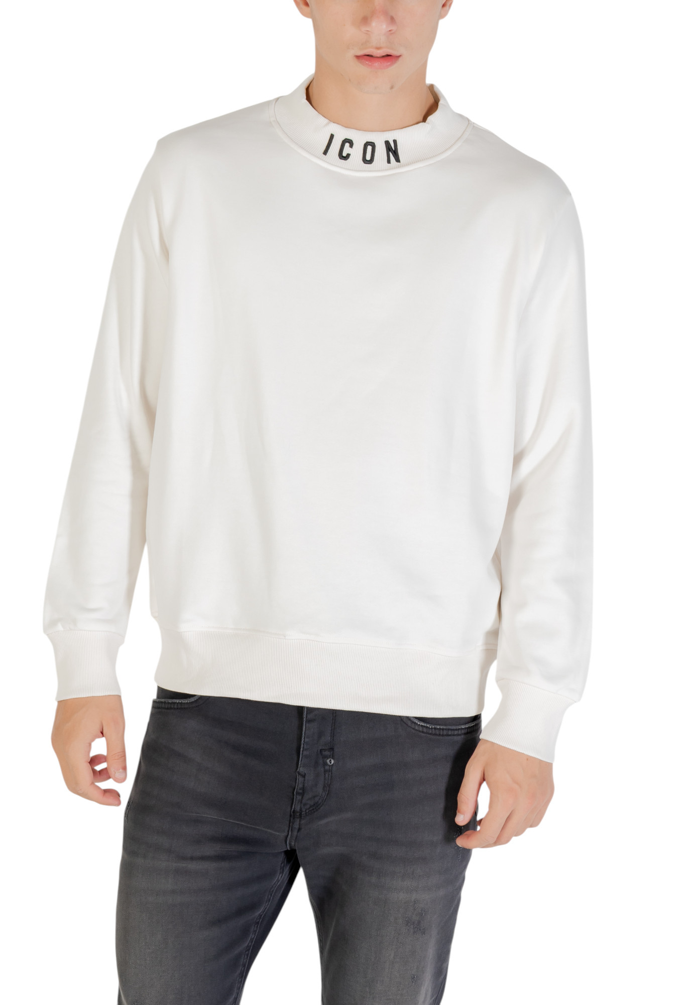 Толстовки Icon, белый
Толстовки Icon, белый