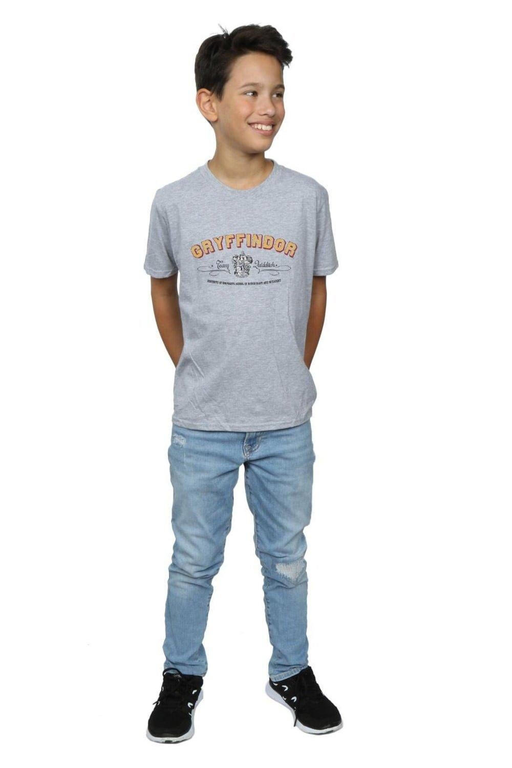 Футболка команды Гриффиндора по квиддичу Harry Potter, серый
Футболка команды Гриффиндора по квиддичу Harry Potter, серый
