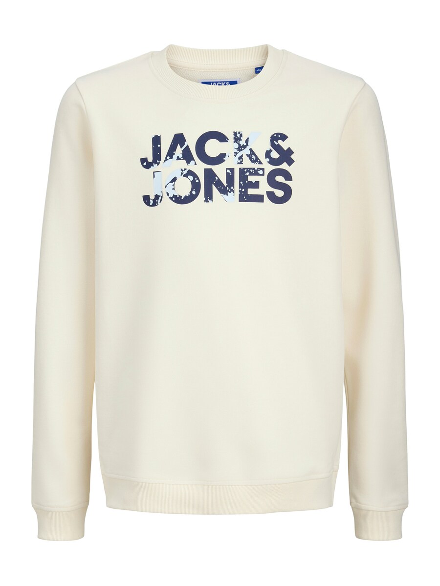 Толстовка Jack & Jones Junior JJSTYD, белый
Толстовка Jack & Jones Junior JJSTYD, белый