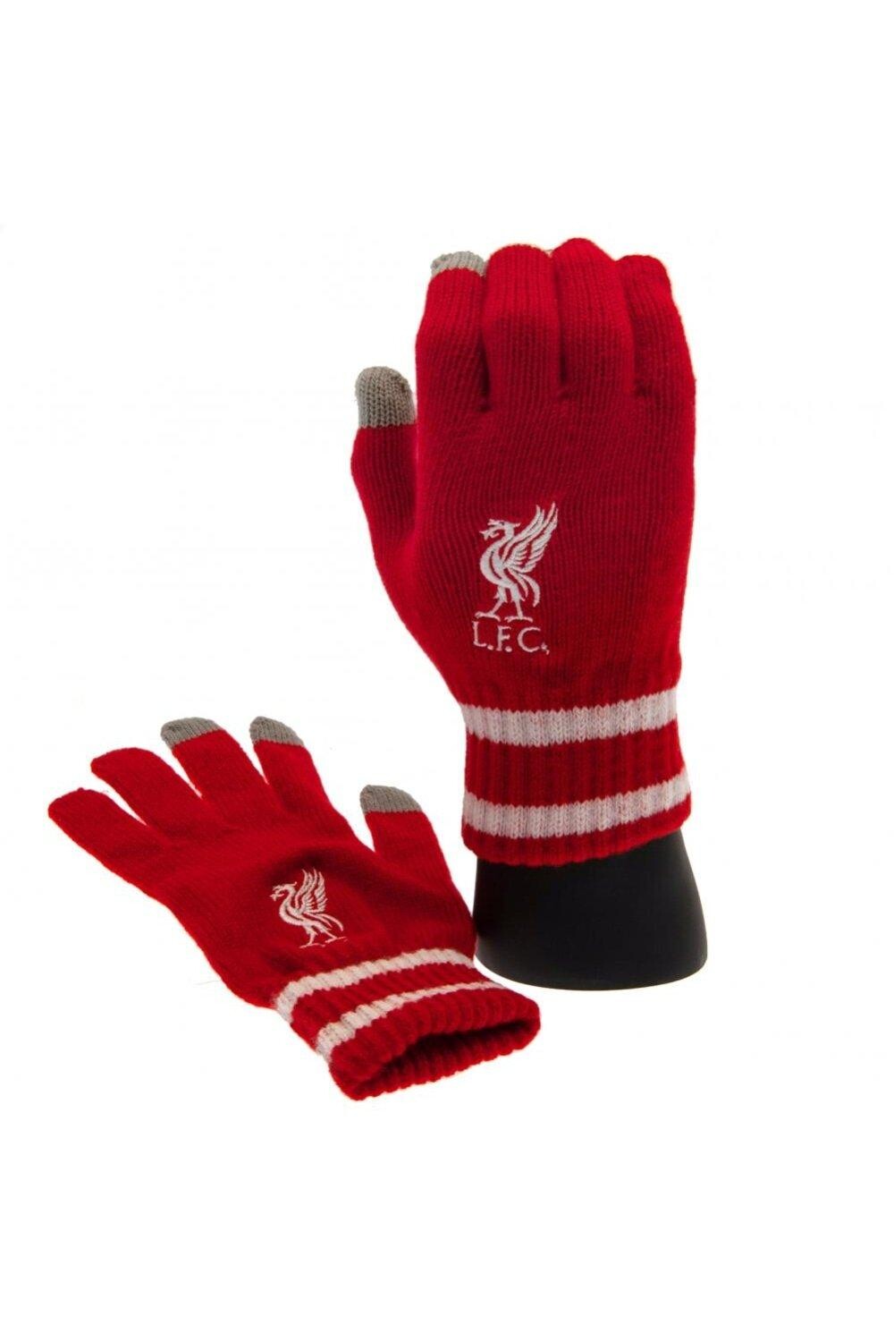 Вязаные перчатки Crest Touch Liverpool FC, красный
Вязаные перчатки Crest Touch Liverpool FC, красный