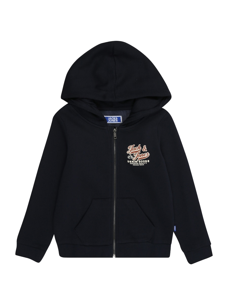 Толстовка с капюшоном на молнии JACK & JONES MINI, Night Blue
Толстовка с капюшоном на молнии JACK & JONES MINI, Night Blue
