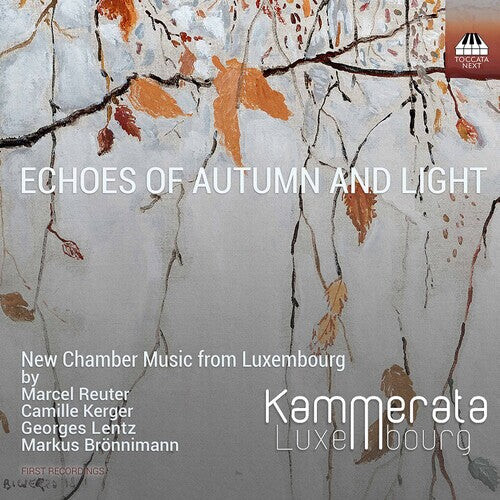 CD диск Bronnimann / Luxembourg: Echoes of Autumn & Light
CD диск Bronnimann / Luxembourg: Echoes of Autumn & Light