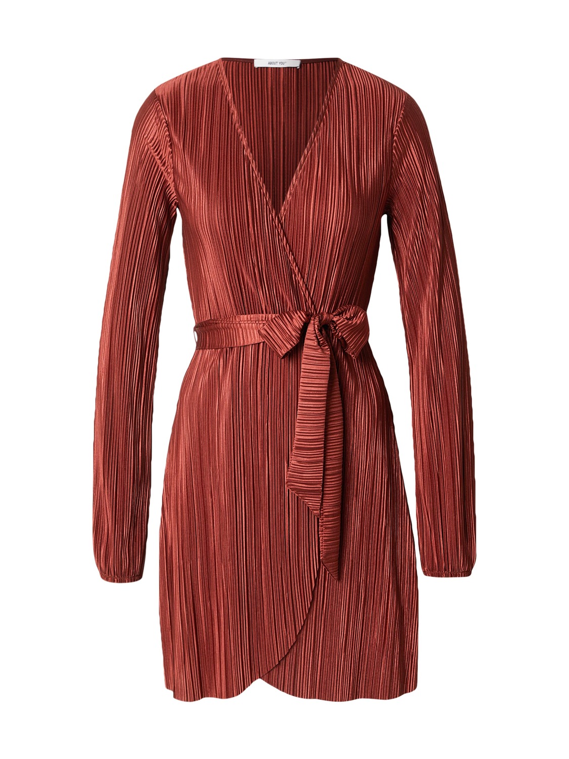 ABOUT YOU Платье 'Diana' в цвете Rusty Red
ABOUT YOU Платье 'Diana' в цвете Rusty Red