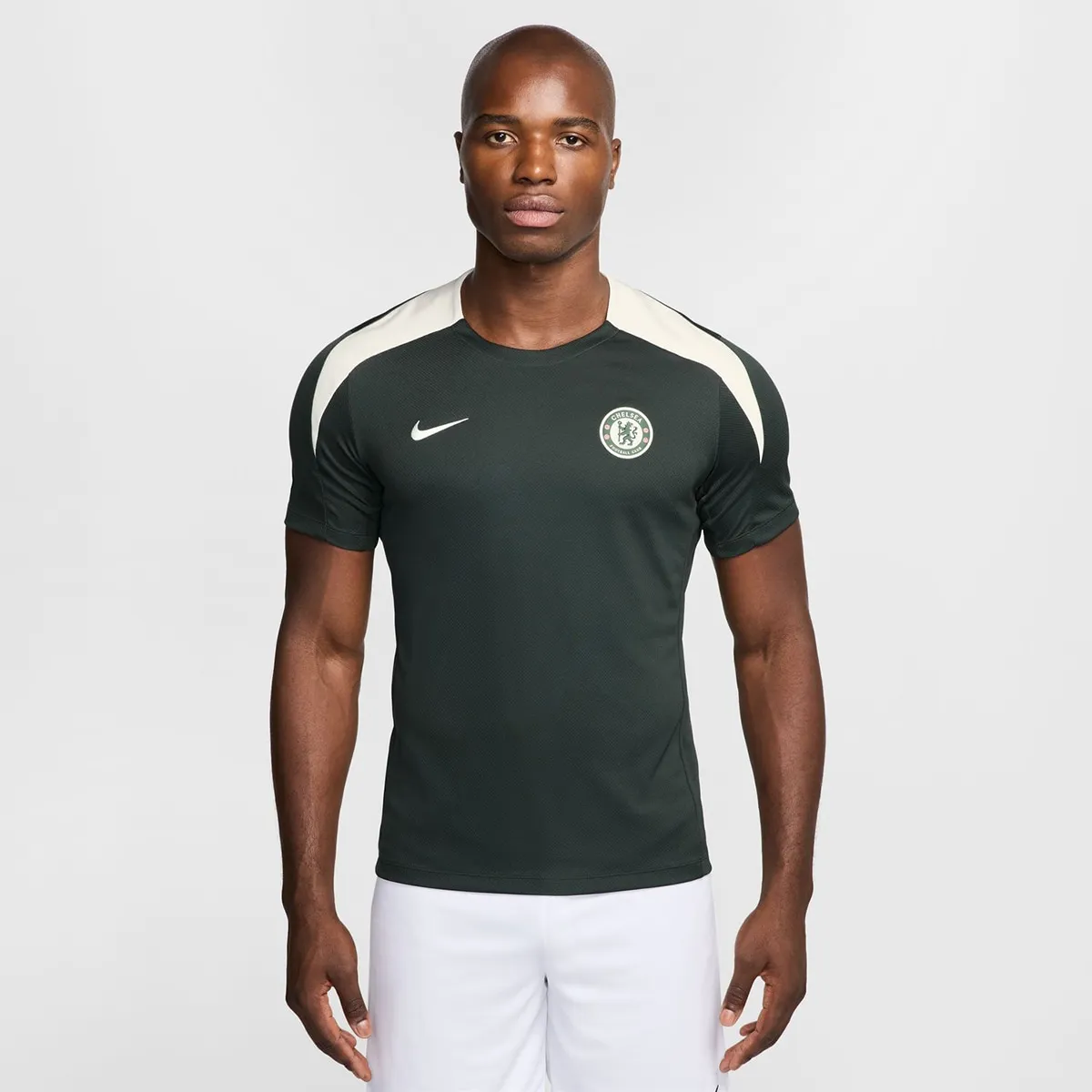 Мужская футболка Челси ФК 2025-2026 Strike Nike, зеленый
Мужская футболка Челси ФК 2025-2026 Strike Nike, зеленый