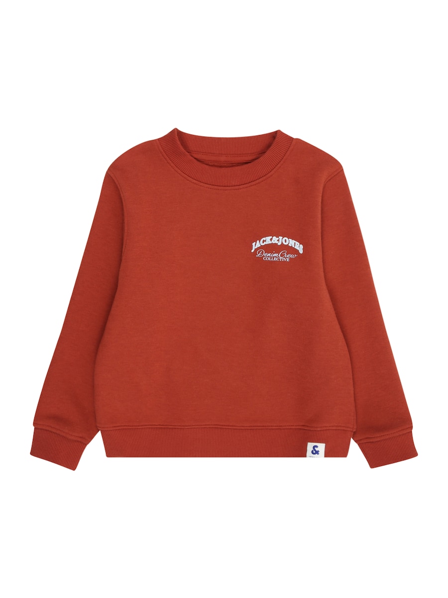 Толстовка JACK & JONES MINI, Auburn
Толстовка JACK & JONES MINI, Auburn