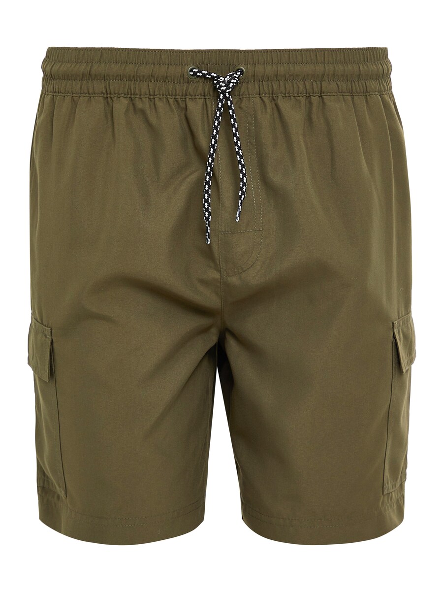 Шорты для серфинга Threadbare Saxon, оливковый
Шорты для серфинга Threadbare Saxon, оливковый