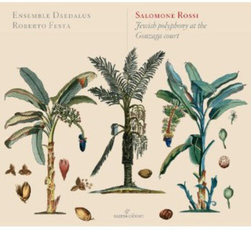 CD диск Rossi / Festa / Ensemble Deadalus: Jewish Polyphony at the Gonzaga Court
CD диск Rossi / Festa / Ensemble Deadalus: Jewish Polyphony at the Gonzaga Court