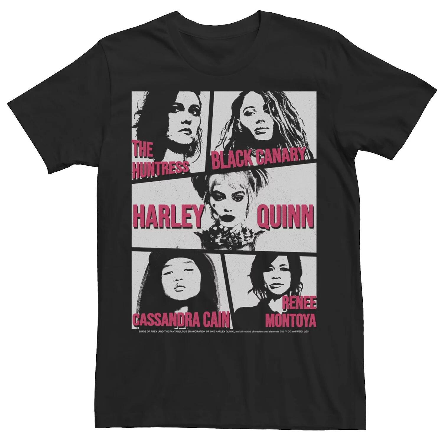 Мужская футболка с изображением хищных птиц Box Up DC Comics 
Мужская футболка с изображением хищных птиц Box Up DC Comics