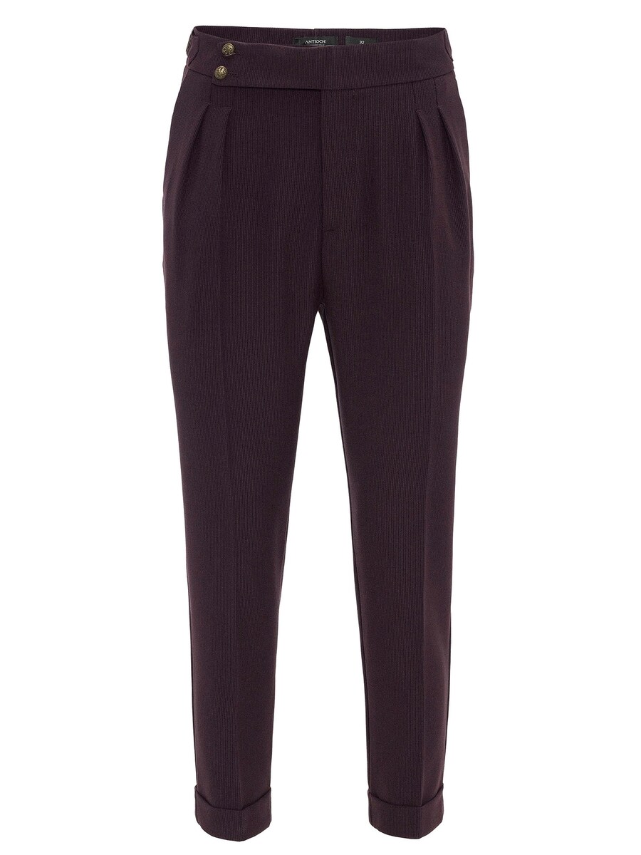 Зауженные брюки в складку спереди Antioch, коричневый
Зауженные брюки в складку спереди Antioch, коричневый