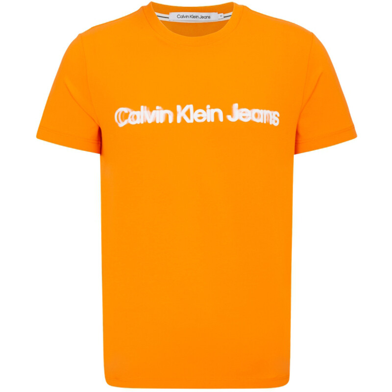 Футболка мужская оранжевая Calvin Klein, оранжевый
Футболка мужская оранжевая Calvin Klein, оранжевый