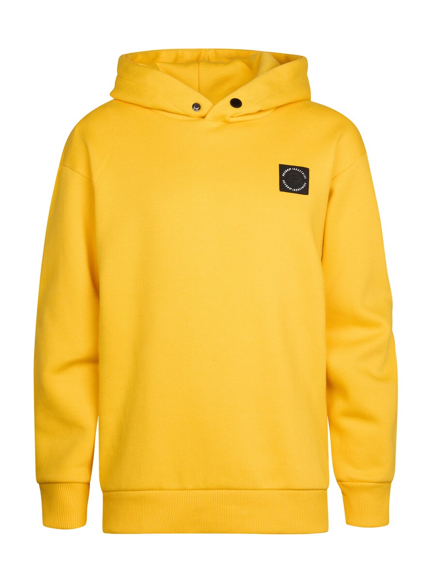 Толстовка Petrol Industries Ozark, желтый
Толстовка Petrol Industries Ozark, желтый