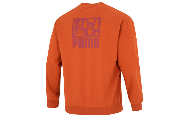 Толстовка мужская оранжевая Puma, оранжевый
Толстовка мужская оранжевая Puma, оранжевый