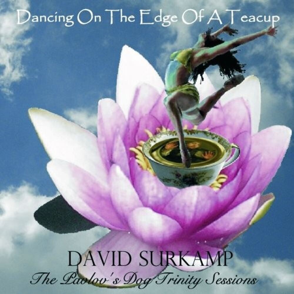 Диск CD Dancing On The Edge Of A Teacu - David Surkamp
Диск CD Dancing On The Edge Of A Teacu - David Surkamp