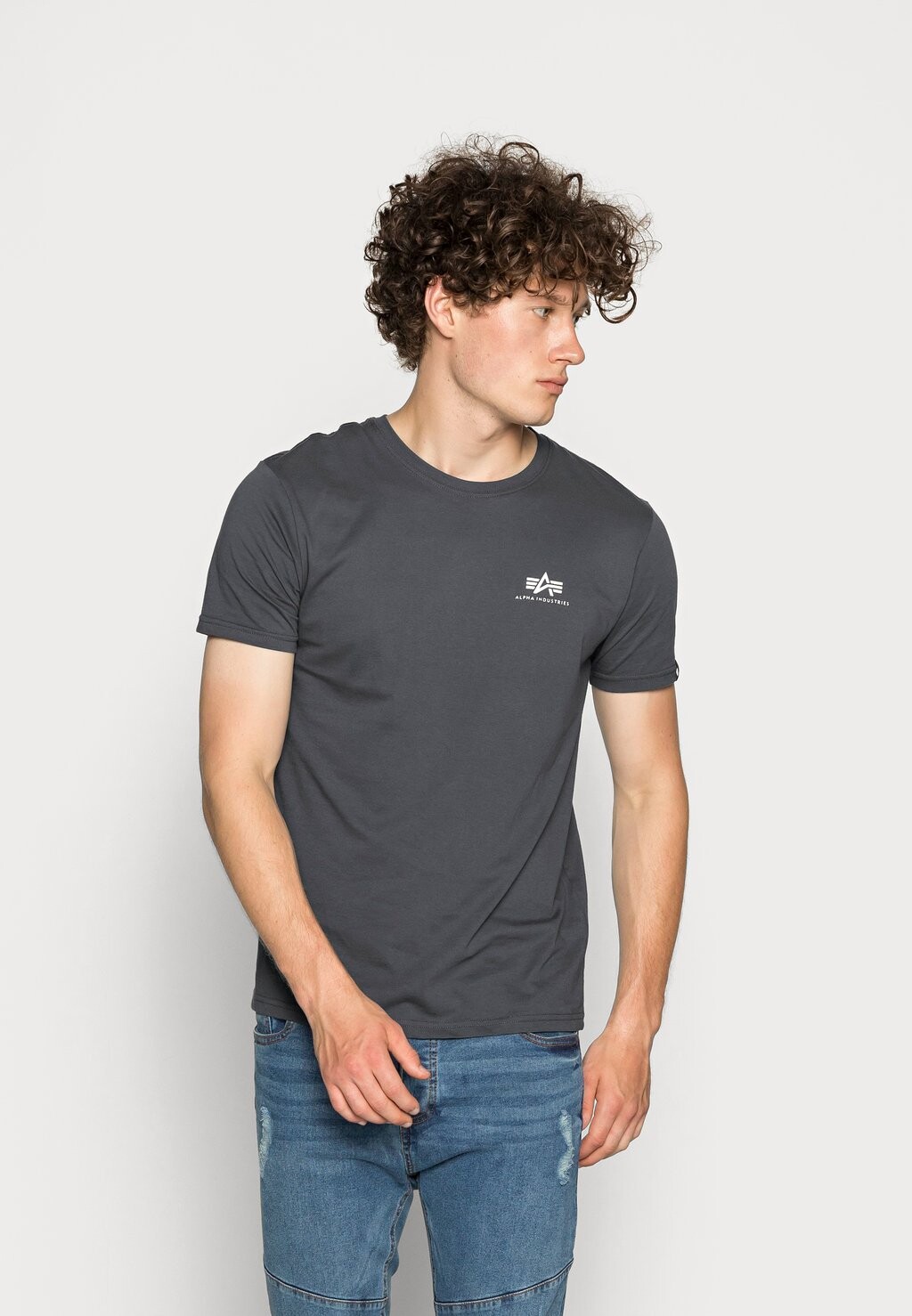 футболка с принтом Small Logo Alpha Industries, цвет grey
футболка с принтом Small Logo Alpha Industries, цвет grey