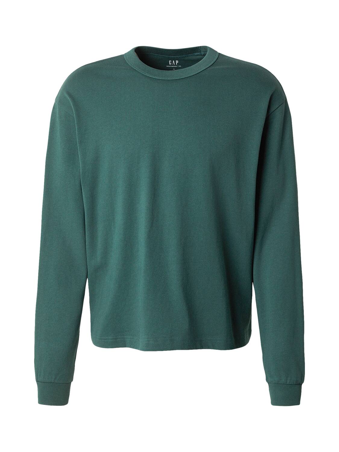 GAP Футболка в цвете Fir
GAP Футболка в цвете Fir