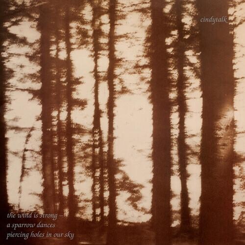 Виниловая пластинка Cindytalk - Wind Is Strong (Iex) (Marbled Smoke Vinyl)
Виниловая пластинка Cindytalk - Wind Is Strong (Iex) (Marbled Smoke Vinyl)