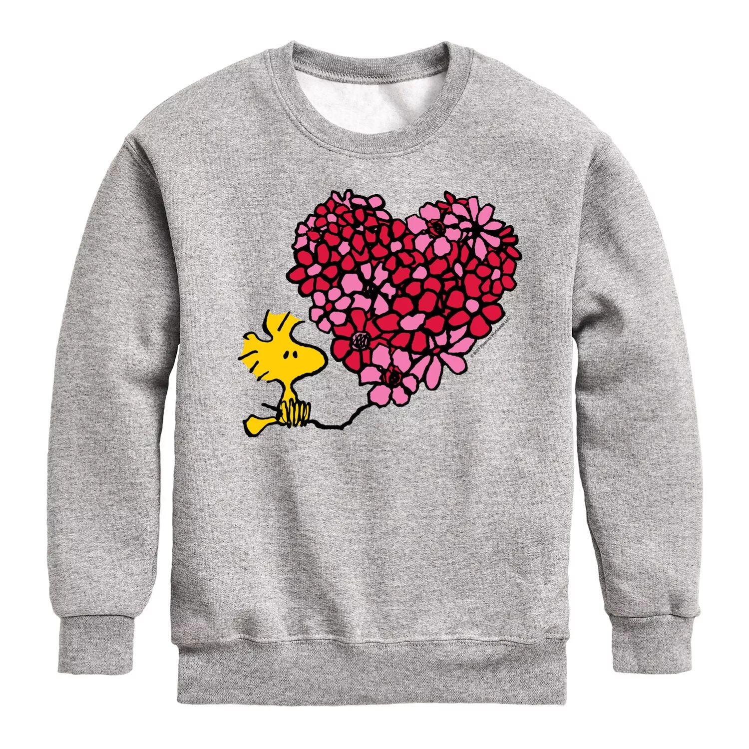 Флисовый свитшот Peanuts Woodstock Heart для мальчиков 8–20 лет Licensed Character, серый
Флисовый свитшот Peanuts Woodstock Heart для мальчиков 8–20 лет Licensed Character, серый