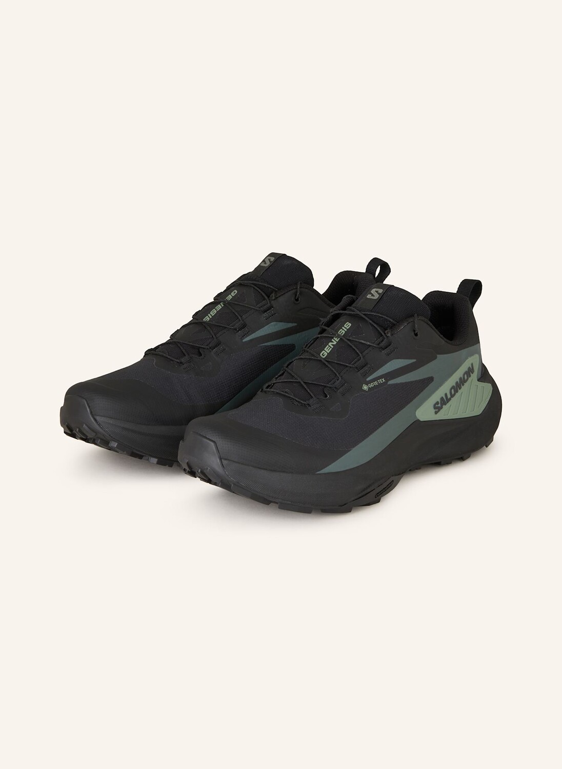 Кроссовки для бега по пересеченной местности genesis gtx SALOMON, цвет SCHWARZ/MINT
Кроссовки для бега по пересеченной местности genesis gtx SALOMON, цвет SCHWARZ/MINT