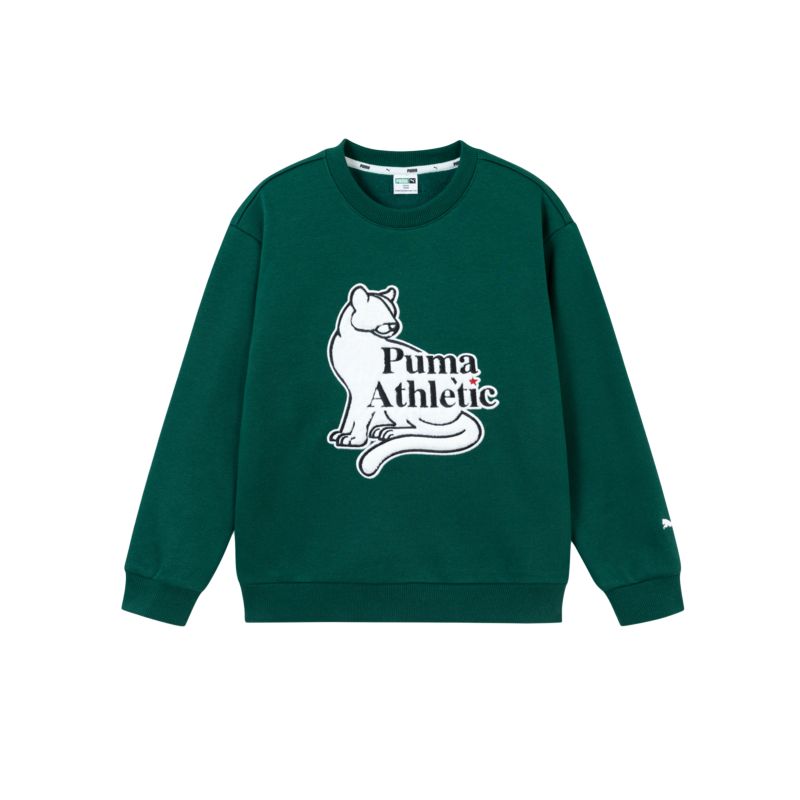 Детский свитшот PUMA, темно-зеленый
Детский свитшот PUMA, темно-зеленый