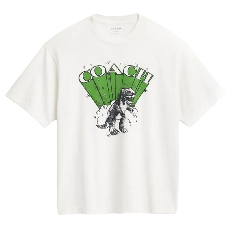 COACH Футболка мужская Vintage Ivory White, Белый, COACH Футболка мужская Vintage Ivory White
COACH Футболка мужская Vintage Ivory White, Белый, COACH Футболка мужская Vintage Ivory White