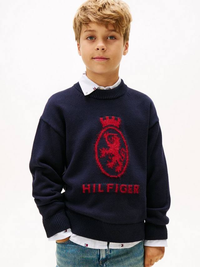 Детский джемпер Heritage из хлопка Tommy Hilfiger, Desert Sky
Детский джемпер Heritage из хлопка Tommy Hilfiger, Desert Sky