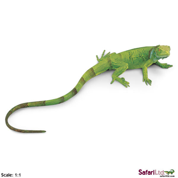 Safari Ltd 258329 Молодая зеленая игуана 24x10см масштаб 1:1
Safari Ltd 258329 Молодая зеленая игуана 24x10см масштаб 1:1