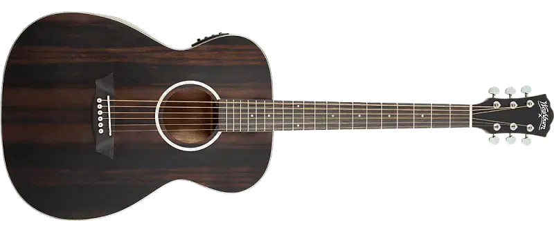 Акустическая гитара NEW!!! Washburn Deep Forest Ebony FE - DFEFE-A-U
Акустическая гитара NEW!!! Washburn Deep Forest Ebony FE - DFEFE-A-U