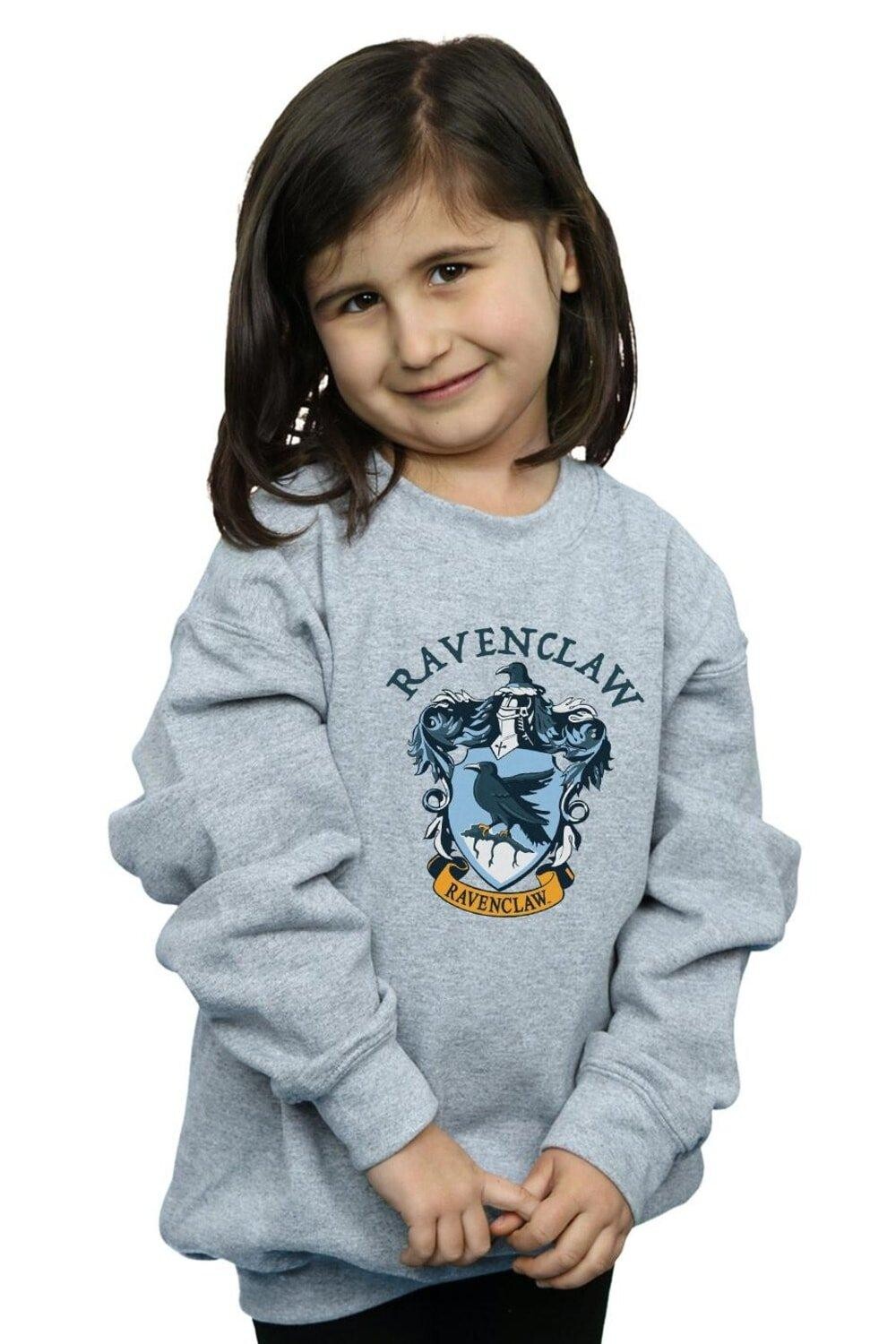 Толстовка Когтеврана Harry Potter, серый
Толстовка Когтеврана Harry Potter, серый