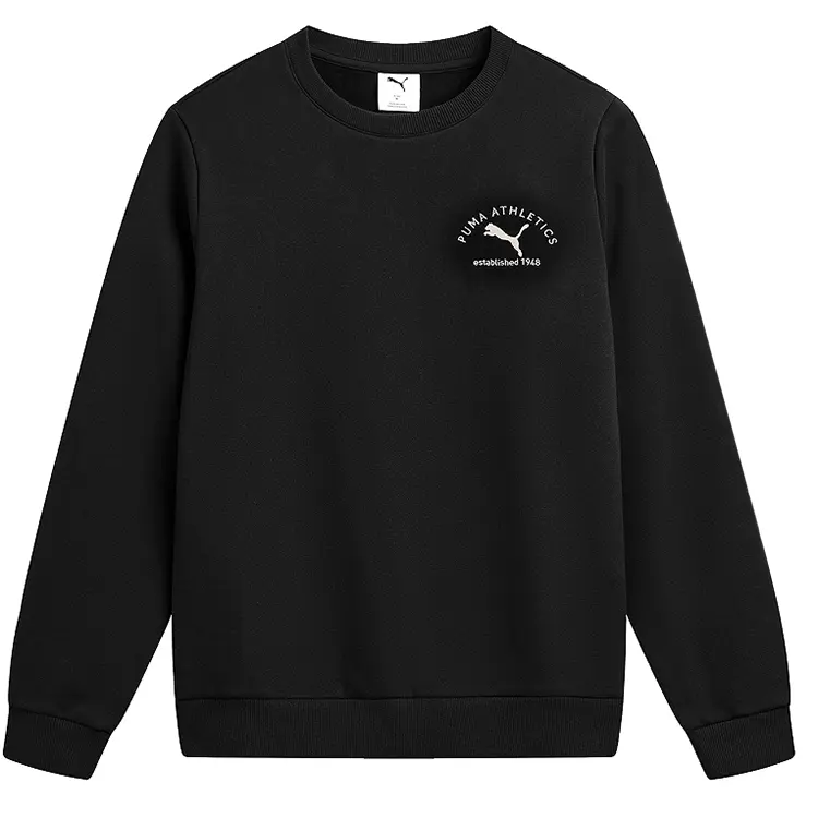 Свитшот Athletics FW25 мужской PUMA, черный
Свитшот Athletics FW25 мужской PUMA, черный