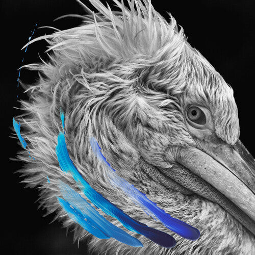 Виниловая пластинка Lies: Lies - Metallic Silver
Виниловая пластинка Lies: Lies - Metallic Silver