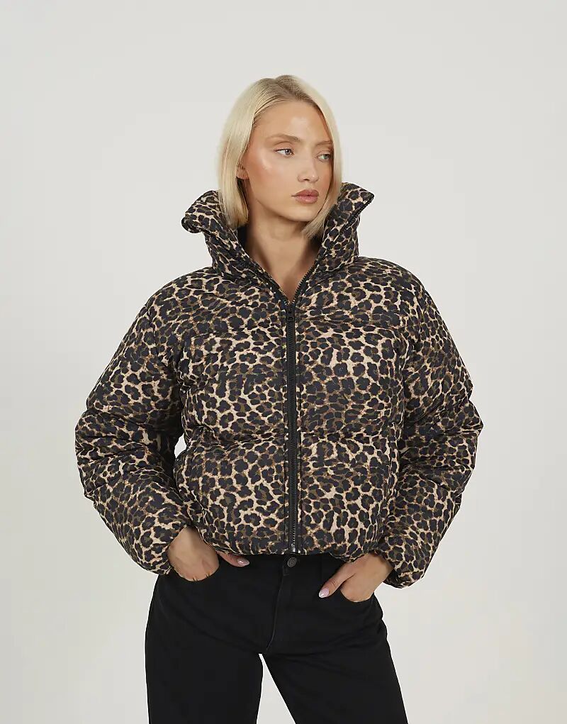 Короткая стеганая куртка Brave Soul с леопардовым принтом и объемным воротником коричневого цвета
Короткая стеганая куртка Brave Soul с леопардовым принтом и объемным воротником коричневого цвета