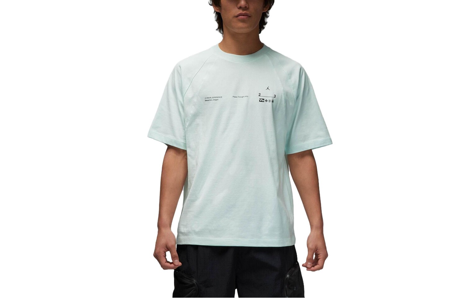 Футболка мужская светло-зеленая Jordan, светло-зеленый
Футболка мужская светло-зеленая Jordan, светло-зеленый