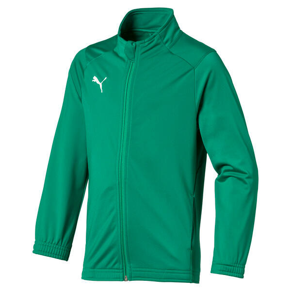 Детская куртка Puma Junior Liga Poly Jacket Core 164
Детская куртка Puma Junior Liga Poly Jacket Core 164