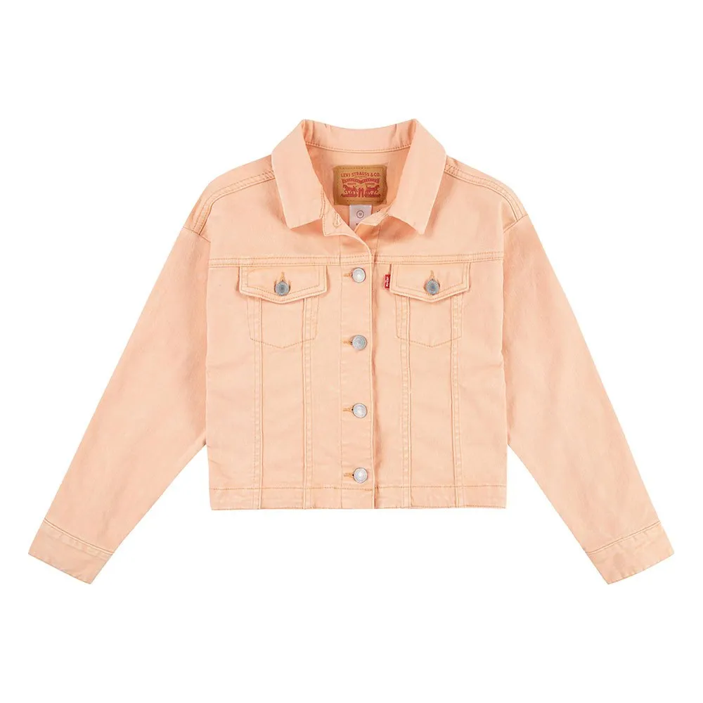 Куртка Levi's Baggy Trucker, оранжевый
Куртка Levi's Baggy Trucker, оранжевый