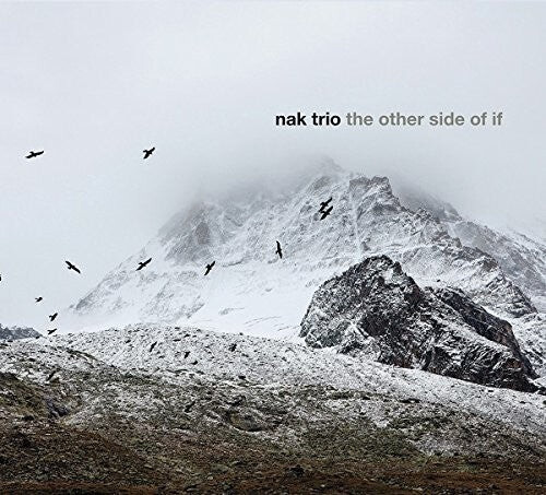 CD диск Nak Trio: The Other Side Of If
CD диск Nak Trio: The Other Side Of If