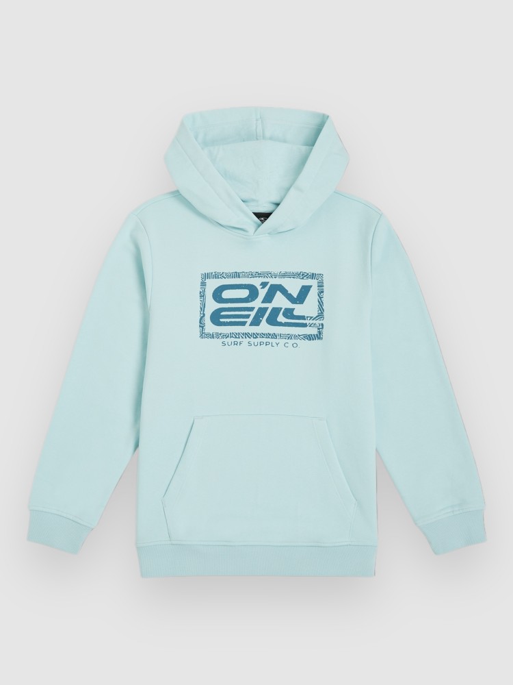 Толстовка O'Neill Logo Kids Hoodie, morning glory
Толстовка O'Neill Logo Kids Hoodie, morning glory