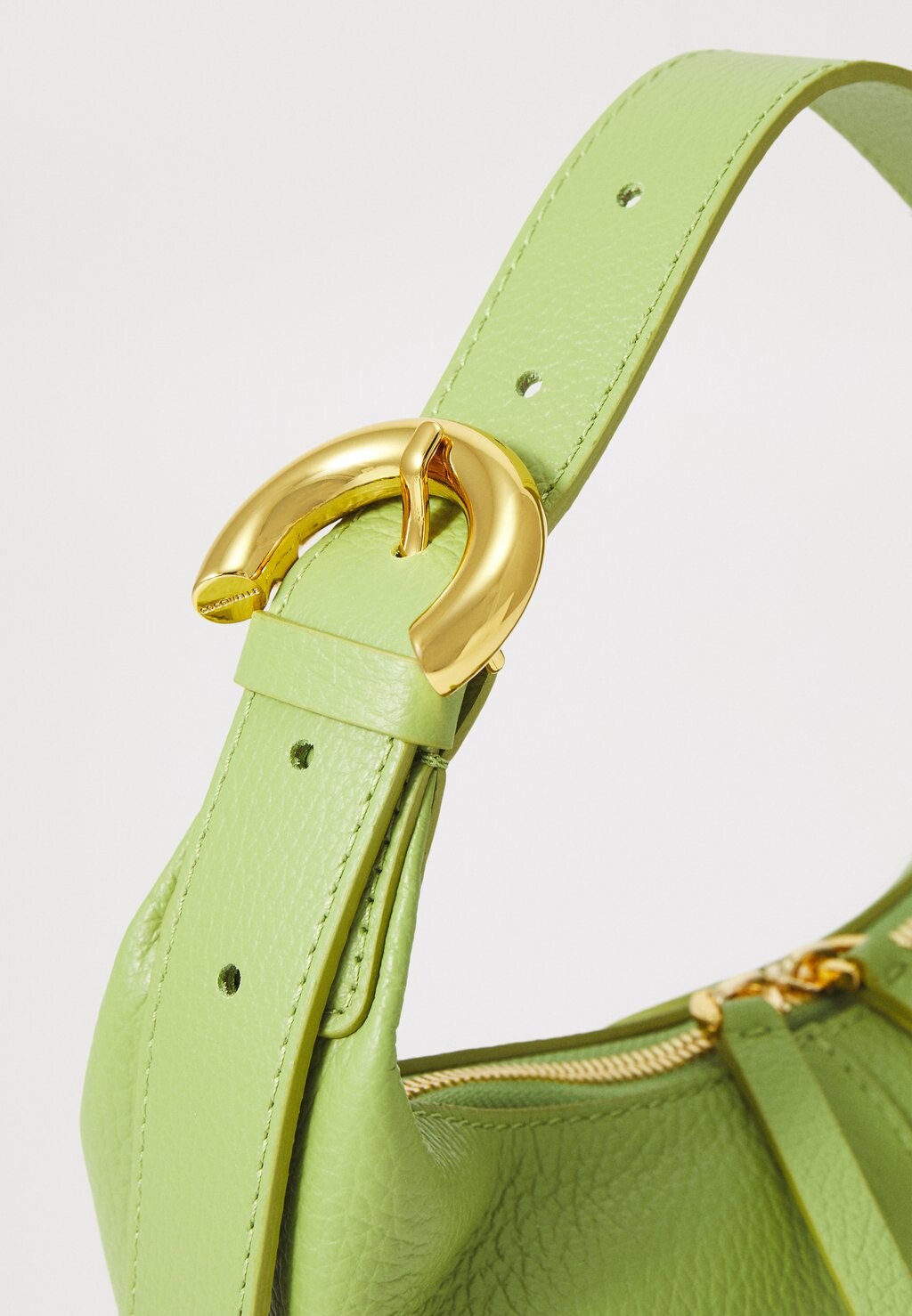 Сумка FERNANDA Coccinelle, светло-зеленый
Сумка FERNANDA Coccinelle, светло-зеленый